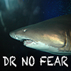 DR NO FEAR - Positive Thinking Doctor - David J. Abbott M.D.