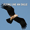 Flying Like An Eagle - Positive Thinking Doctor - David J. Abbott M.D.