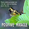 Positive Miracle - Positive Thinking Doctor - David J. Abbott M.D.